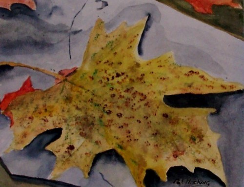 Signs of Autumn